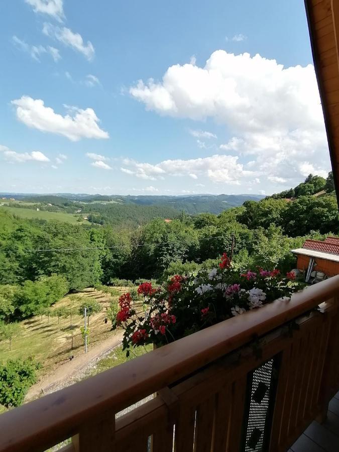 Ferienwohnung Stoff Kitzeck im Sausal Exterior foto