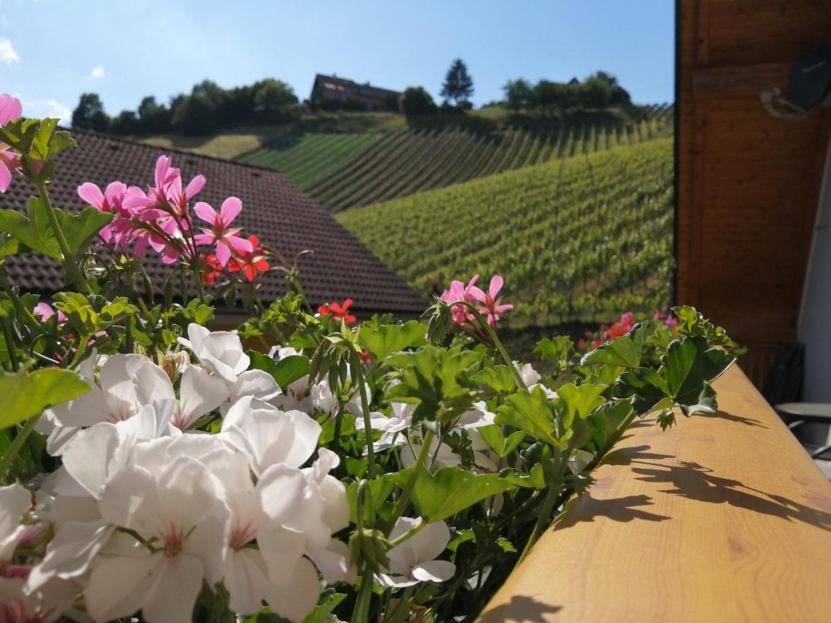 Ferienwohnung Stoff Kitzeck im Sausal Exterior foto