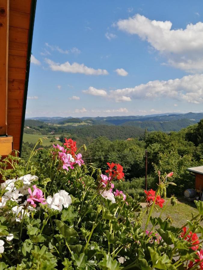 Ferienwohnung Stoff Kitzeck im Sausal Exterior foto