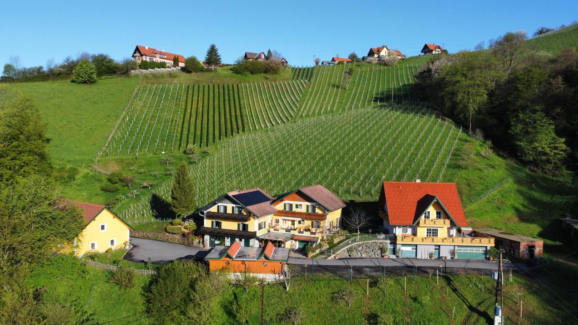 Ferienwohnung Stoff Kitzeck im Sausal Exterior foto